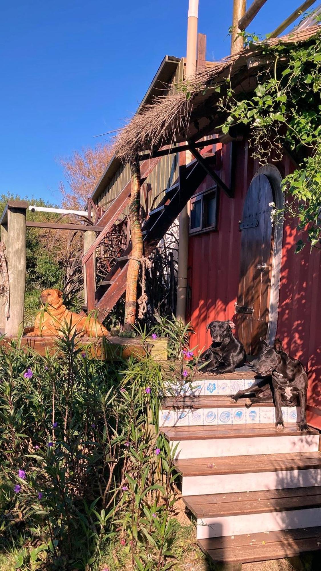Angelo Konuk evi Punta Del Diablo Dış mekan fotoğraf