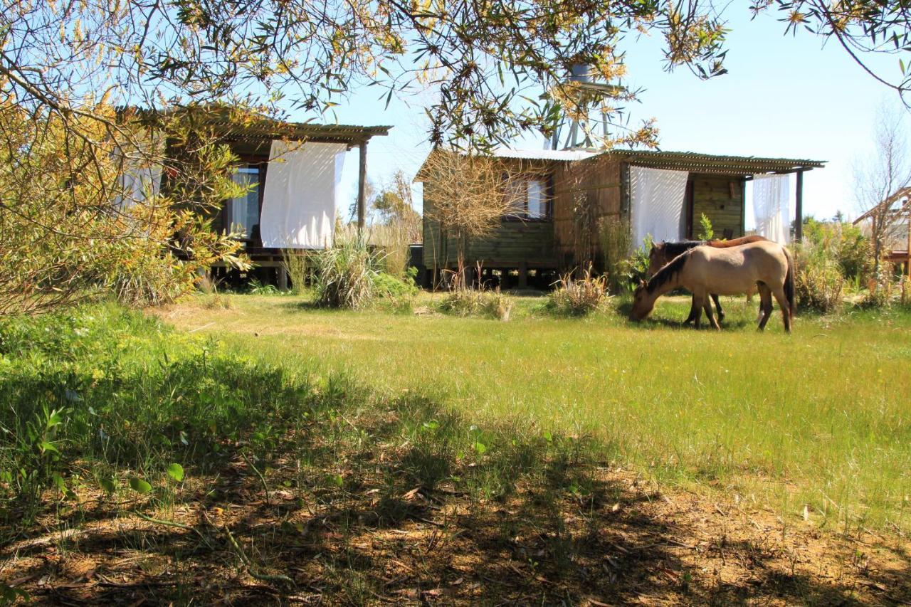 Angelo Konuk evi Punta Del Diablo Dış mekan fotoğraf